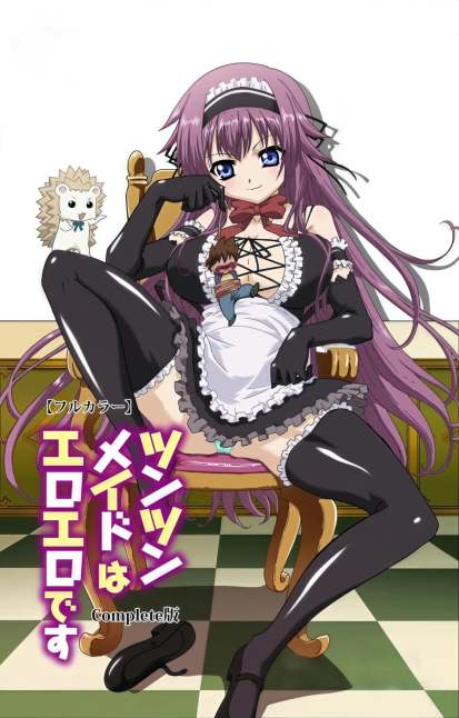 Tsun Tsun Maid wa Ero Ero Desu